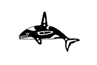 Salish.png